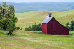 Salt Box Barn in the Palouse ! #39