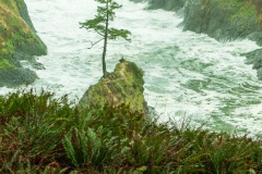 Storm Scene on the Washington Coast