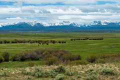 The Big Hole, Montana