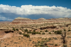 Bentonite Hills
