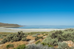 Antelope Island in the Great Salt Lake