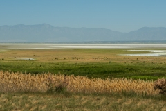Antelope Island