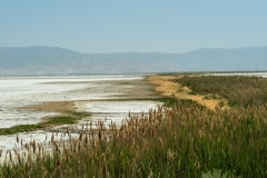 Antelope Island