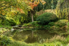Japanese Pond at the Bloedel Reserve