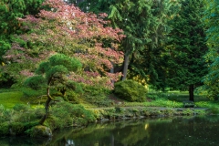 The Bloedel Reserve