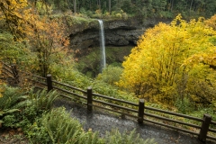 Silver Falls in Oregon