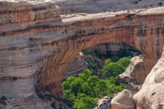 Natural Bridges NM