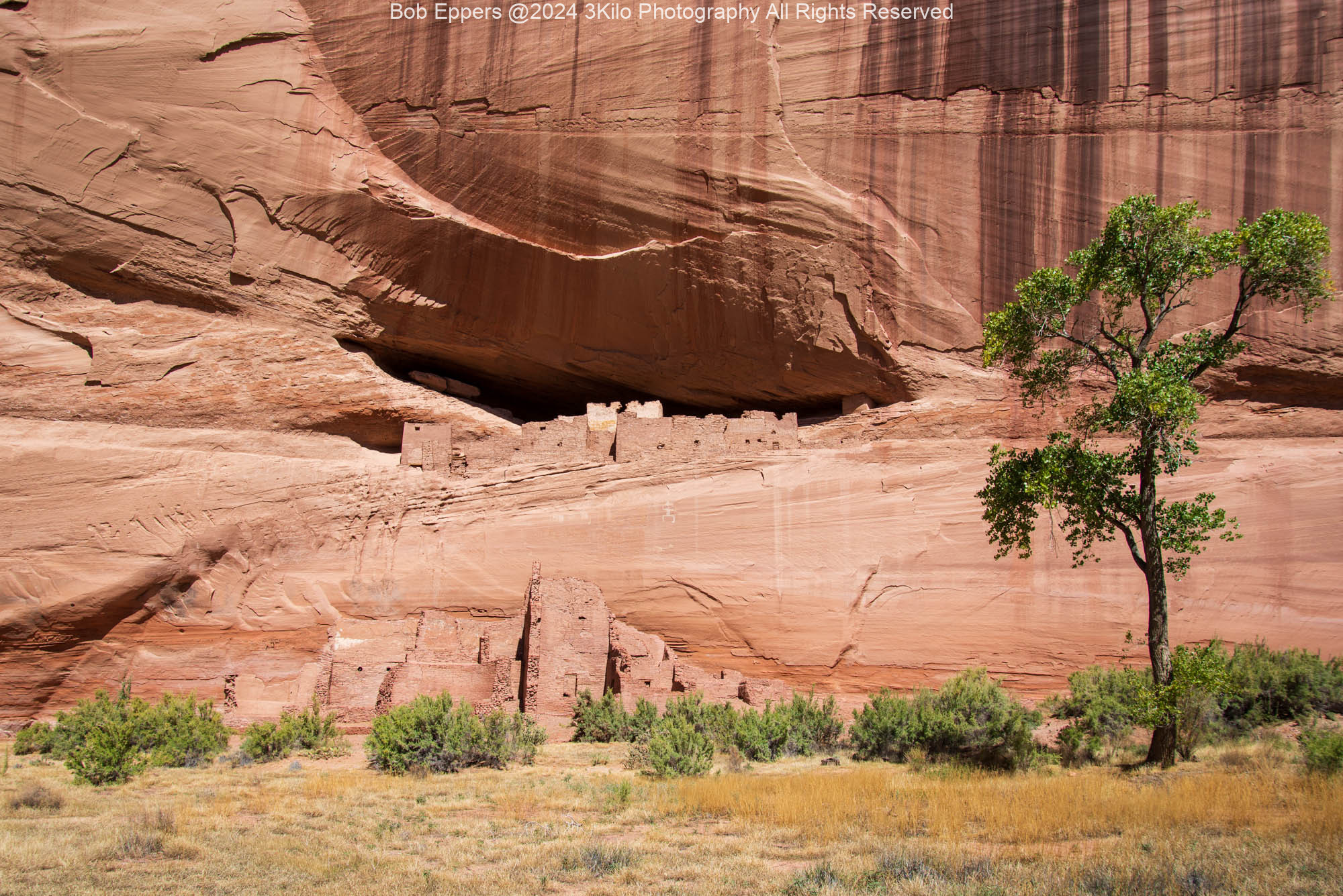 Photo of The White House in Canyon de Chelly