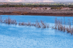 Photo of Roosevelt Lake in Arizona