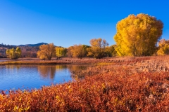 Photo of Watson Lake Early Morning
