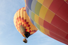 Photo of Balloons at the Temecula Wine Festival