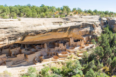 Photo of the Cliff Palace in Mesa Verde NP