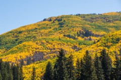 Photo of mountain color on the road to Telluride, CO