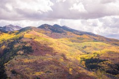 Photo of Mountain Color along Hwy 133