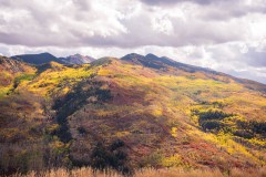 Photo of Mountain Color along Hwy 133