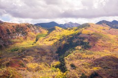 Photo of Mountain Color along Hwy 133