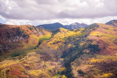 Photo of Mountain Color along Hwy 133