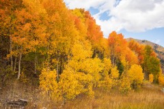 Photo of Mountain Color