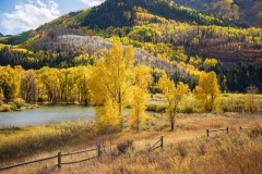 Photo of Fall Color outside of Marble CO