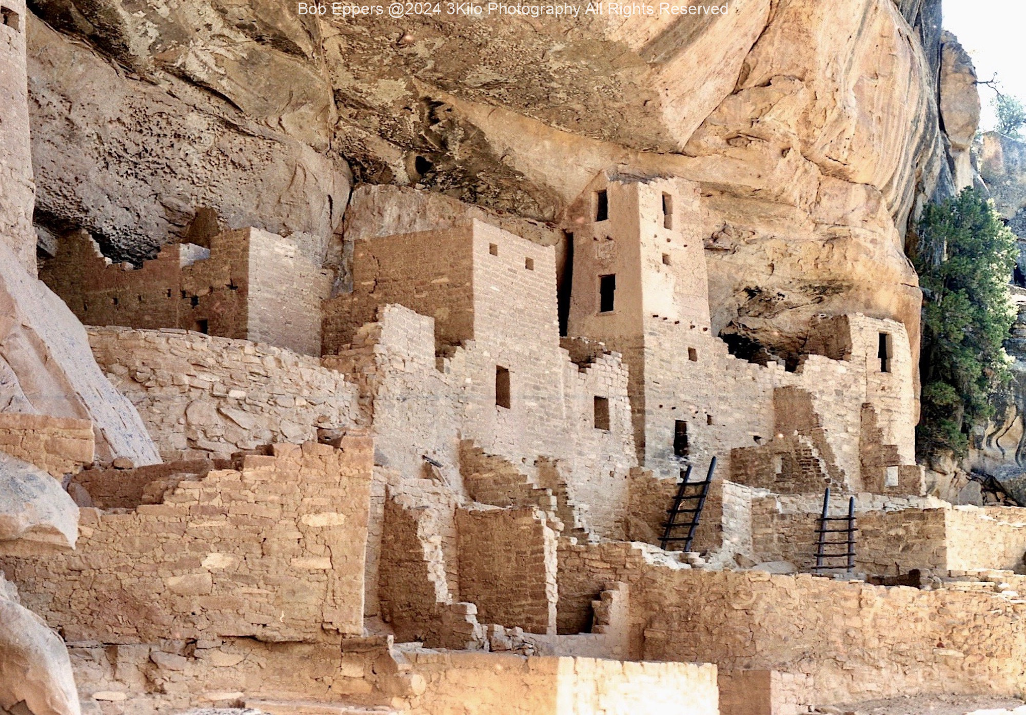 Photo taken at Mesa Verde Cliff Dwellings in CO.  This was taken from a 35mm slide over 20 years ago.