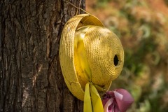 Photo of Lindas Birdhouse