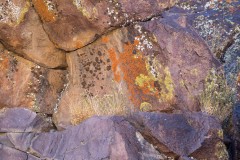 Photo of Lichen on Rocks in the Coso Mountains