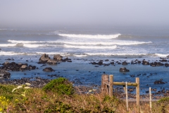 Photo taken along the Lost Coast of California