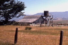 Photo of an Old Barn taken along the Mendocino Coast in Northern CA.  This was taken from a 35mm slide over 40 years ago.