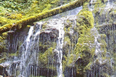 Photo of Proxy Falls in Oregon.  This is from a 35mm slide and taken over 40 years ago.