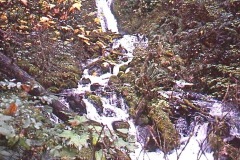 Photo of a Waterfall along the Columbia Gorge in Oregon.  This is from a 35mm slide and taken over 40 years ago.