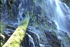 Photo of Proxy Falls in Oregon.  This is from a 35mm slide and taken over 40 years ago.