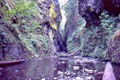 Photo of a small gorge along the Columbia River Scenic Highway in Oregon.  this was taken from a 35mm slide over 40 years ago.