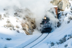 Engine # 81 just exiting a Tunnel