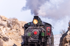Engine # 81 steaming through the cut