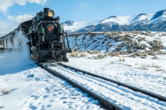 Engine # 81 steaming home