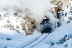 Engine # 81.  Steaming out of a tunnel !