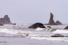 Photo of Bandon Beach in the Fog