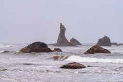 Photo of Bandon Beach in the Fog