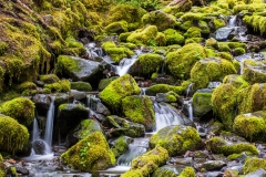 Photo taken at Olympic NP