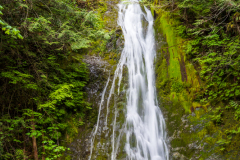 Photo of Marymere Falls in Olympic NP