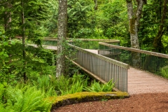 Photo of a Footbridge at Bloedel Reserve