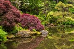 Photo of the Pond at Bloedel Reserve