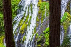 Photo of Panther Creek Falls