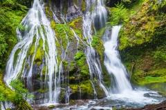 Photo of Panther Creek Falls