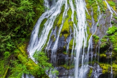 Photo of the Panther Creek Falls