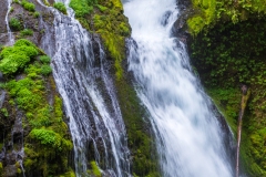 Photo of Panther Creek Falls