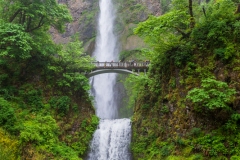Photo of Multnomah Falls along the Columbia River Gorge