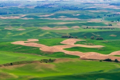 Photo of the Palouse
