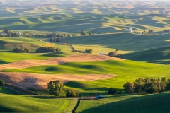 Photo of the Palouse