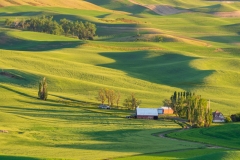 Photo of the Palouse